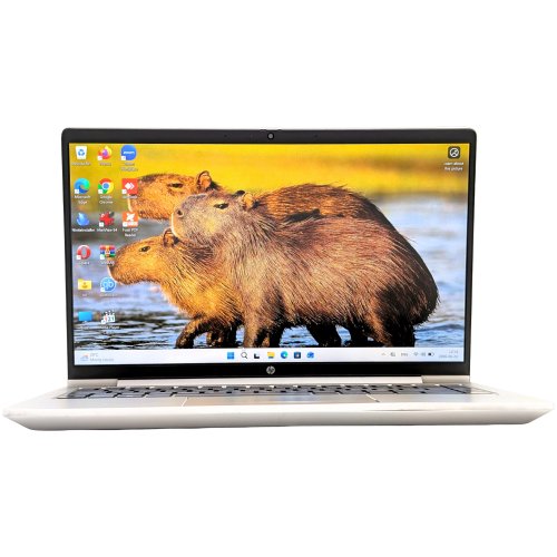 PXL_20260624_091413679 HP ProBook 445 G10/Ryzen3-7330U/16GB/256GB (Generalüberholt)