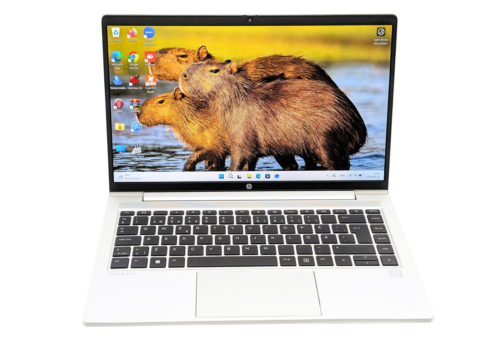 HP ProBook 445 G10/Ryzen3-7330U/16GB/256GB (Generalüberholt)